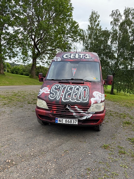 Mercedes-Benz Sprinter 313 2 of 12