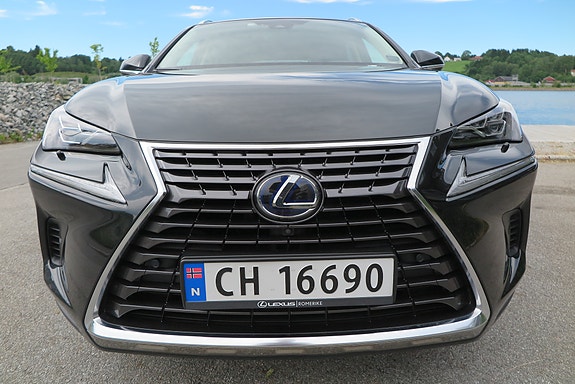 Lexus NX300h 3 of 5
