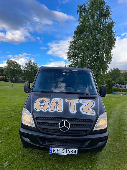 Mercedes-Benz Sprinter 315 2007 photo 4