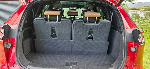 BYD Tang 12 of 20
