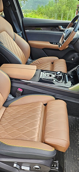 BYD Tang 9 of 20