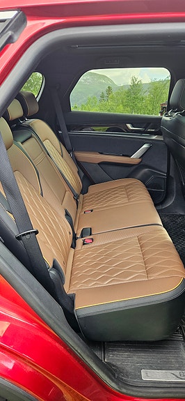 BYD Tang 13 of 20