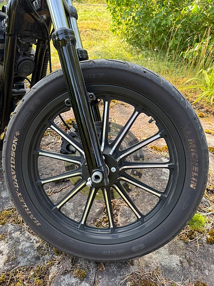 Harley-Davidson XL 883N Iron 12 of 22
