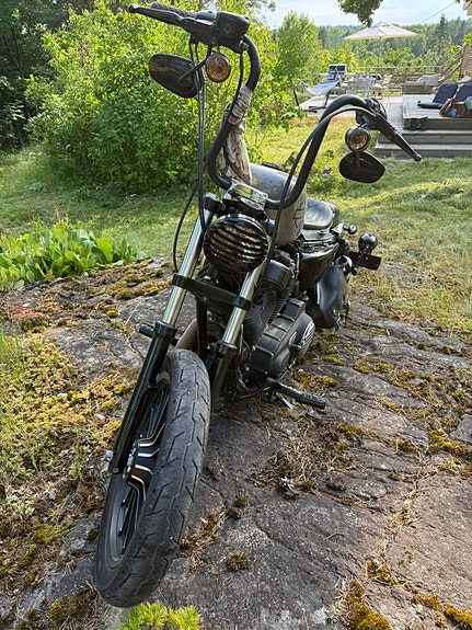 Harley-Davidson XL 883N Iron 10 of 22