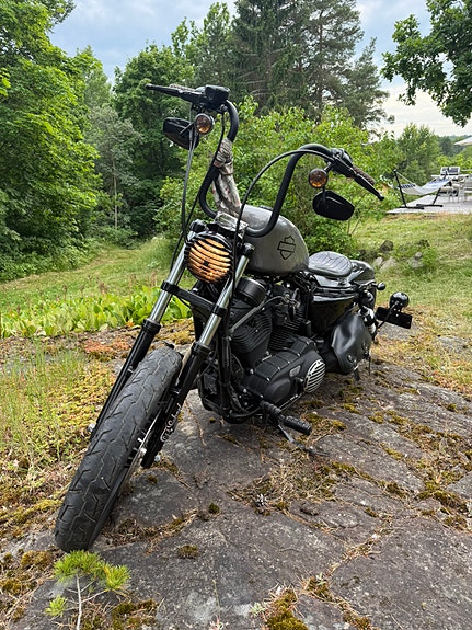 Harley-Davidson XL 883N Iron 22 of 22