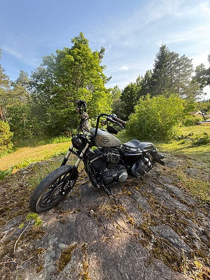 Harley-Davidson XL 883N Iron 3 of 22