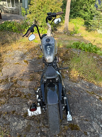Harley-Davidson XL 883N Iron 18 of 22