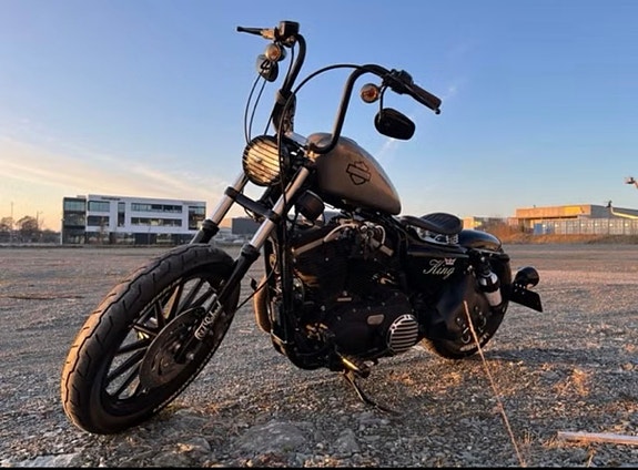 Harley-Davidson XL 883N Iron 2 of 22
