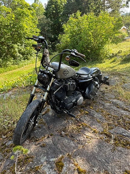 Harley-Davidson XL 883N Iron 5 of 22