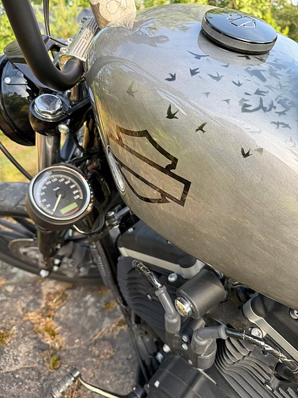 Harley-Davidson XL 883N Iron 7 of 22