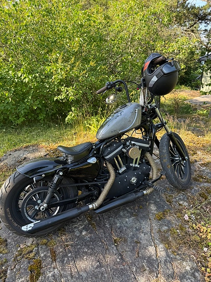 Harley-Davidson XL 883N Iron 4 of 22