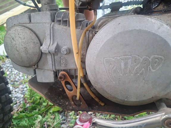 Pitpro Pitpro 125 5 of 5