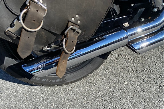 Harley-Davidson FXDB Dyna Street Bob 4 of 4