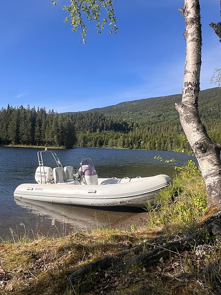 Båt og henger selges pga behov for større båt 4 of 5