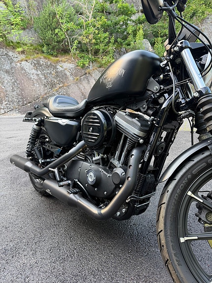 Harley-Davidson XL 883N Iron 10 of 30