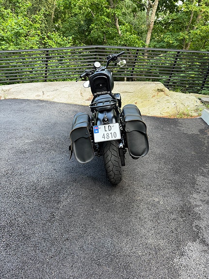 Harley-Davidson XL 883N Iron 19 of 30