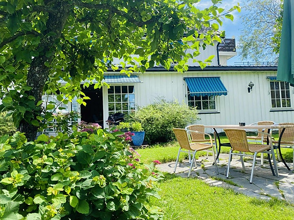Fra hagen inn i stuen