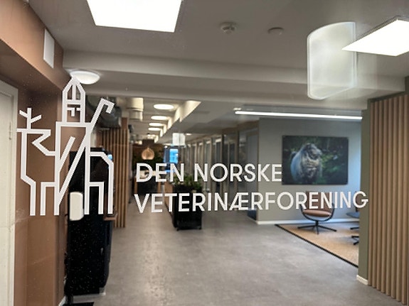 Bilde fra arbeidsgiver