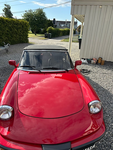 Alfa Romeo Spider 19 of 19