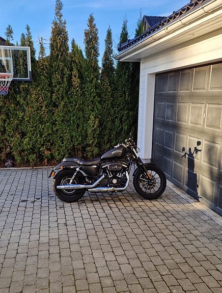 Harley-Davidson A2, XL 883N Iron 11 of 19