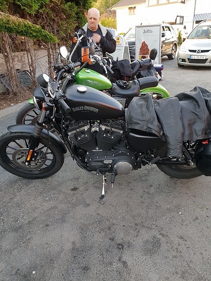 Harley-Davidson A2, XL 883N Iron 9 of 19