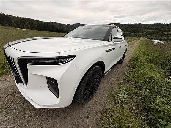 Hongqi E-HS9 5 of 5