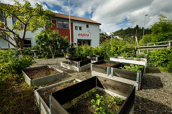 Bilde 1 av 7 i jobbannonse-galleriet