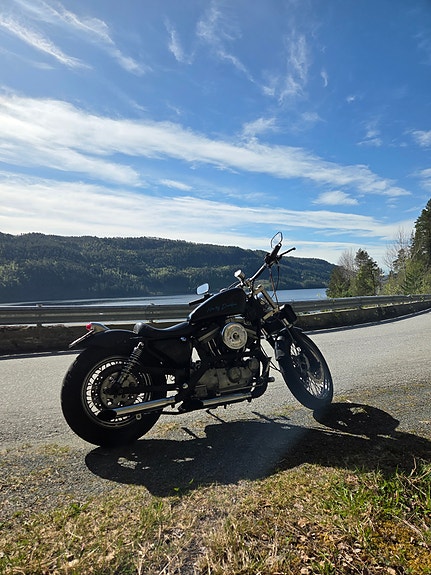 Harley-Davidson Sporster 3 of 3