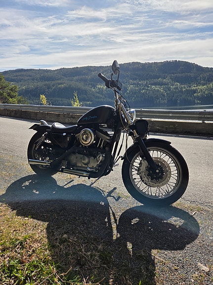 Harley-Davidson Sporster 2 of 3