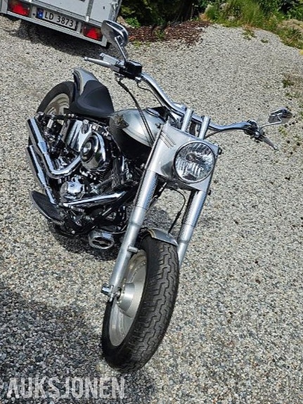 Harley-Davidson FLSTF Fat Boy 2 of 5