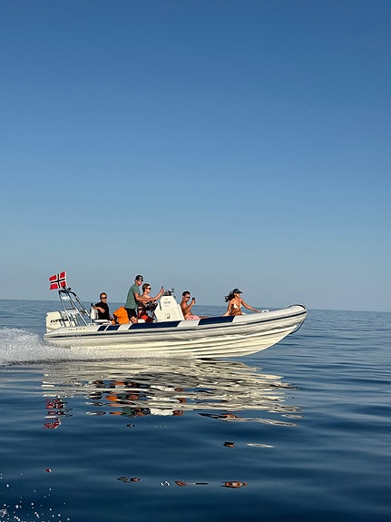Meget pen Ballistic 650 med 175 HK Evinrude E-Tec 3 of 4