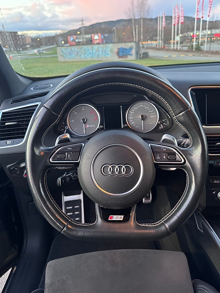 Audi SQ5 12 of 30
