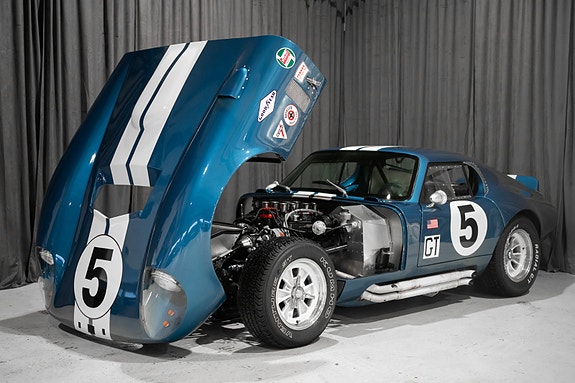 Shelby 7 of 30