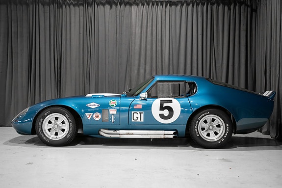 Shelby 3 of 30