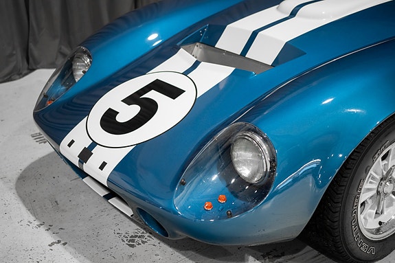 Shelby 8 of 30