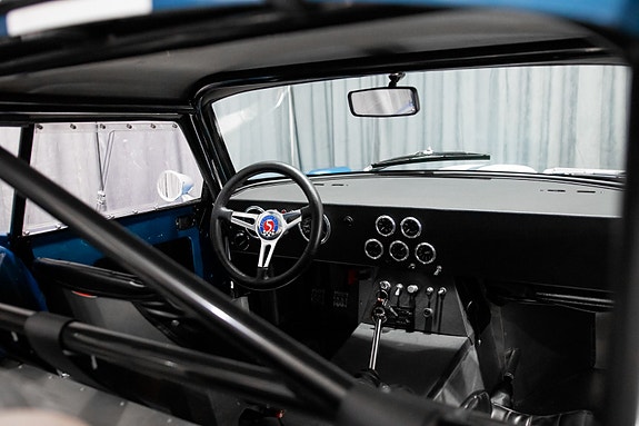 Shelby 29 of 30