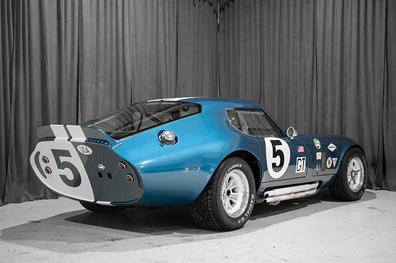 Shelby 2 of 30