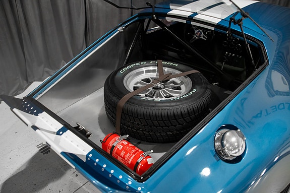 Shelby 19 of 30
