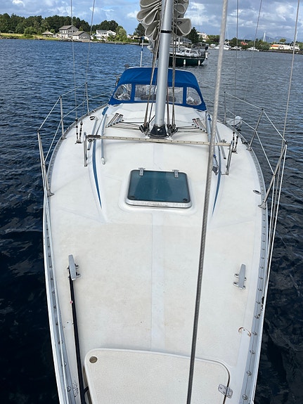 Finngulf 31 5 of 5