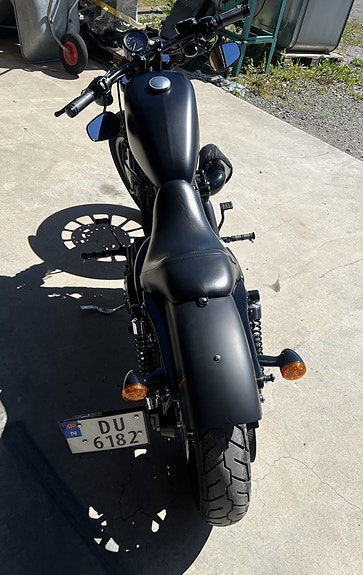 Harley-Davidson XL 883N Iron 4 of 5