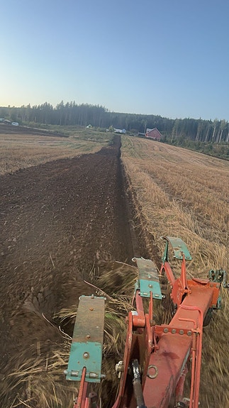 Div landbruk 4 of 5