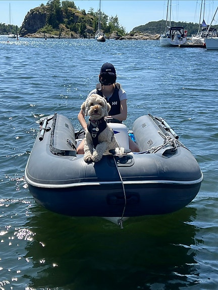 Suzumar MX350 m/elstart, kartplotter og jockeysete 3 of 4