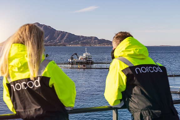 NORCOD AS logo