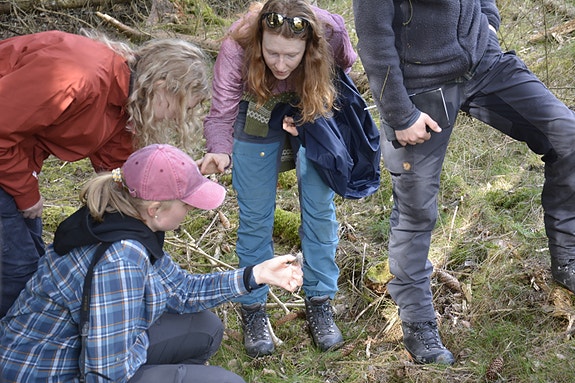 Sabima deltar i og formidler fra store satsinger på skog og naturrestaurering, her fra en samling med Restaureringslaget.