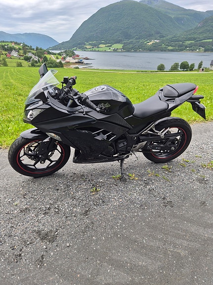 Kawasaki Ninja 300 4 of 5