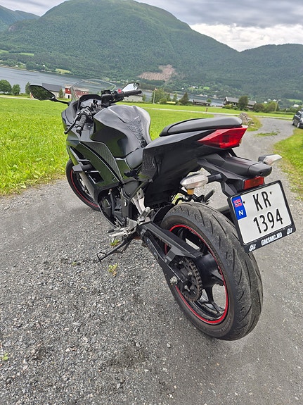 Kawasaki Ninja 300 3 of 5