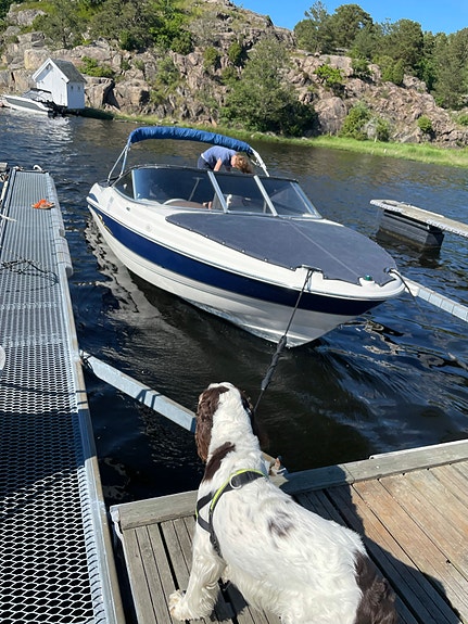 Maxum 2100SC3 6 of 16