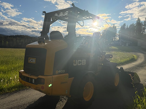 JCB 403 13 of 13