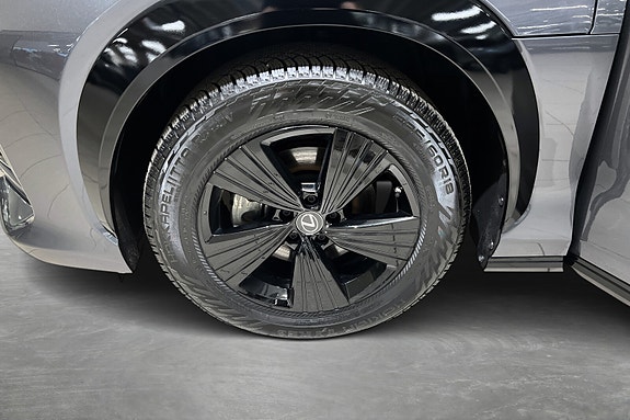 Lexus RZ450e 20 of 21