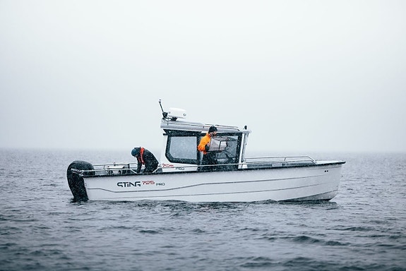 Sting 725PRO Cabin XL PRO+ pakke M/Mercury F150 SPECIAL EDITION Fiskerigodkjent! 27 of 30